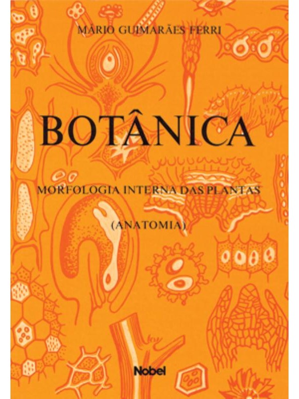 Botânica : Morfologia interna das plantas