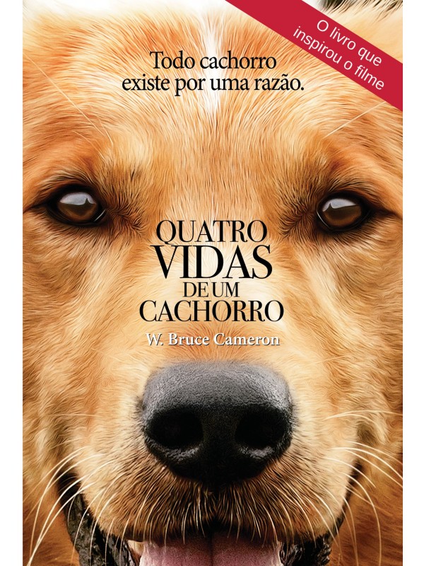 Quatro vidas de um cachorro