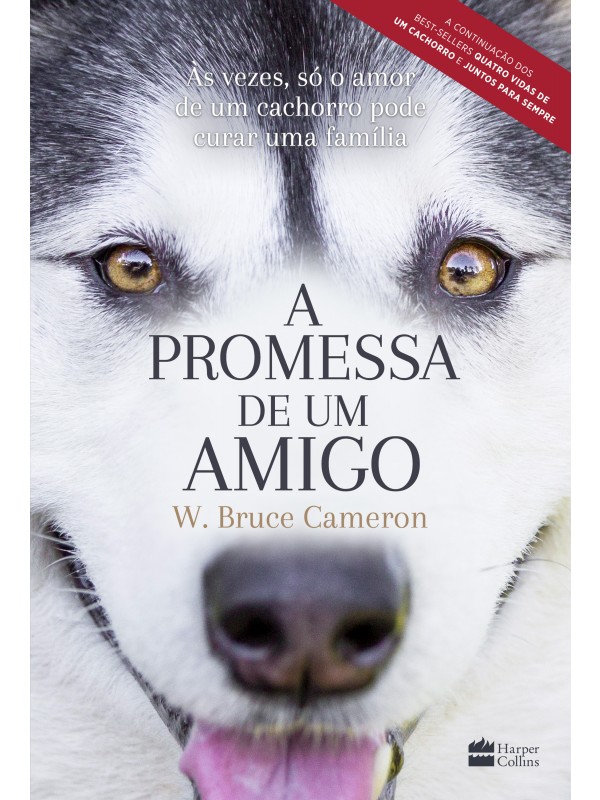 A promessa de um amigo