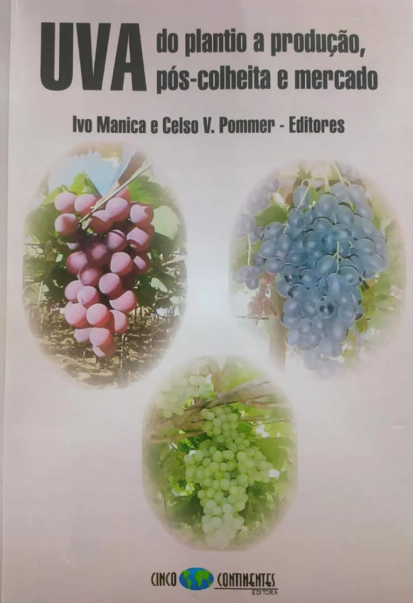 Uva: Do plantio a produção, pós-colheita  mercado
